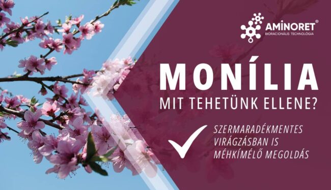 Monília elleni védekezés