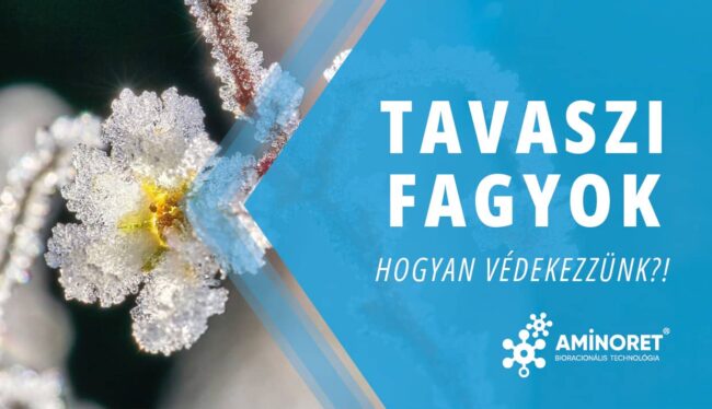 Fagykár elleni védekezés