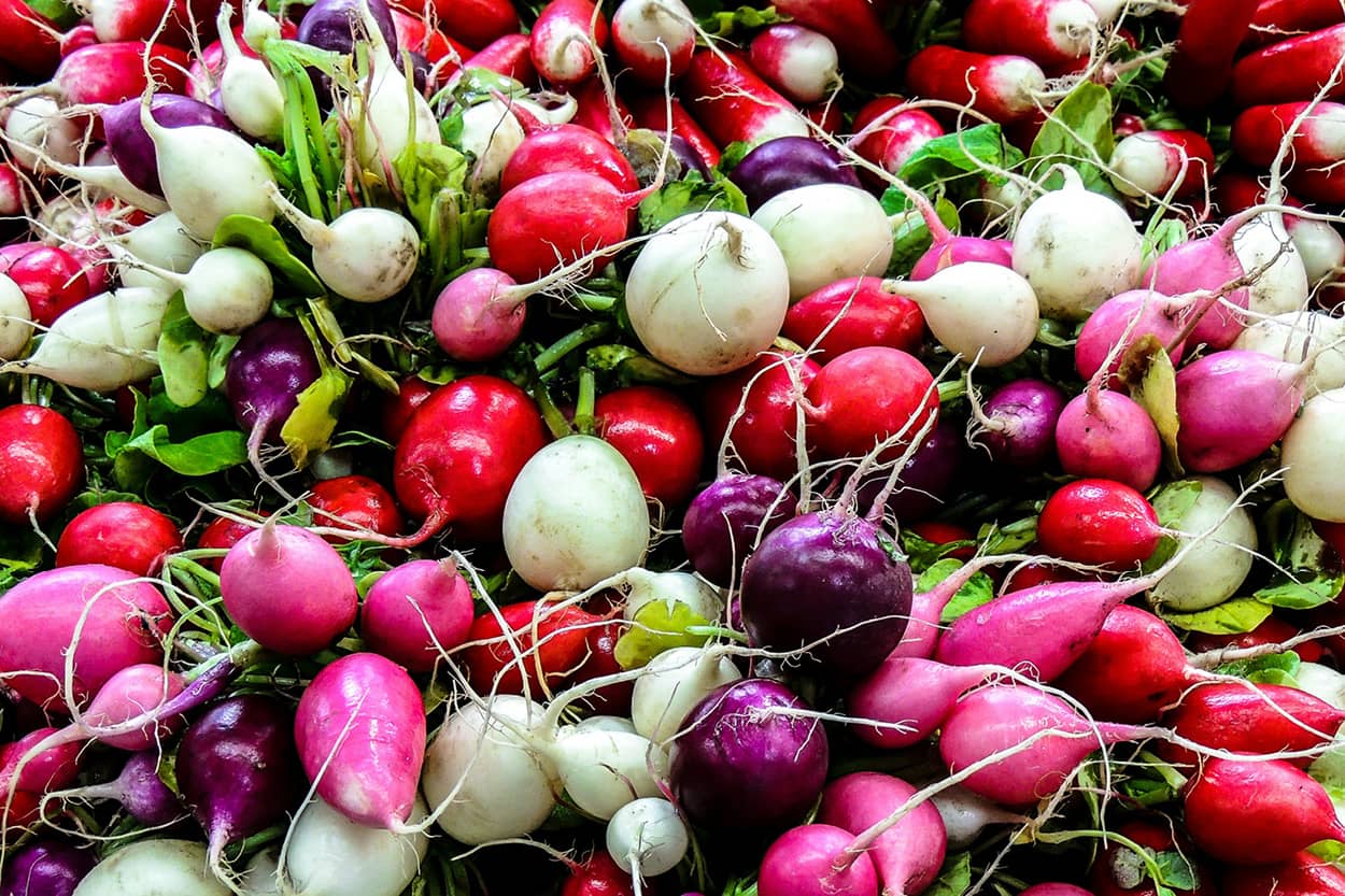 Retek AMINORET® technológia ajánlás - Hortiservice