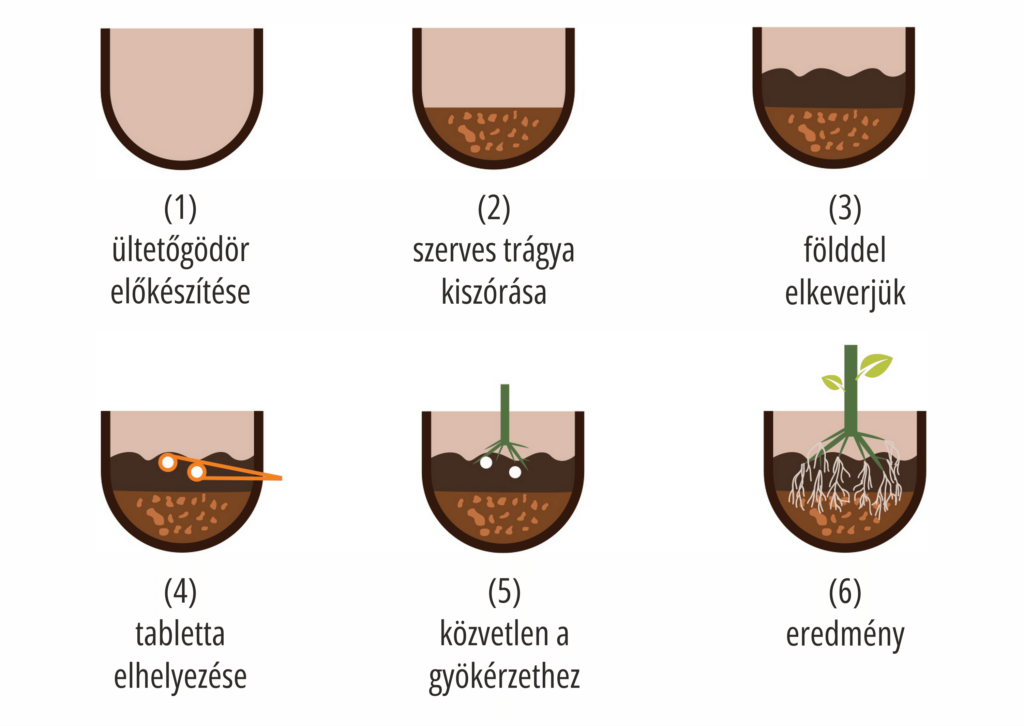 Hogyan alkalmazzuk a ültetőcsomagot?