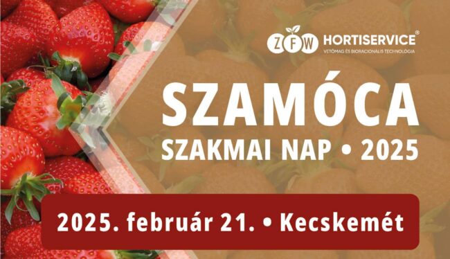 Szamóca Szakmai Nap 2025