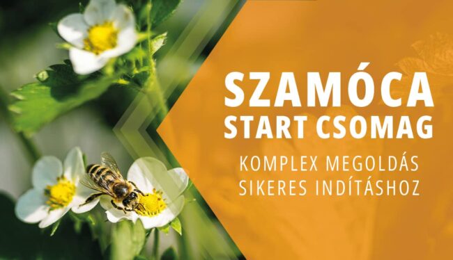 Szamóca start Csomag a szamóca sikeres indításához