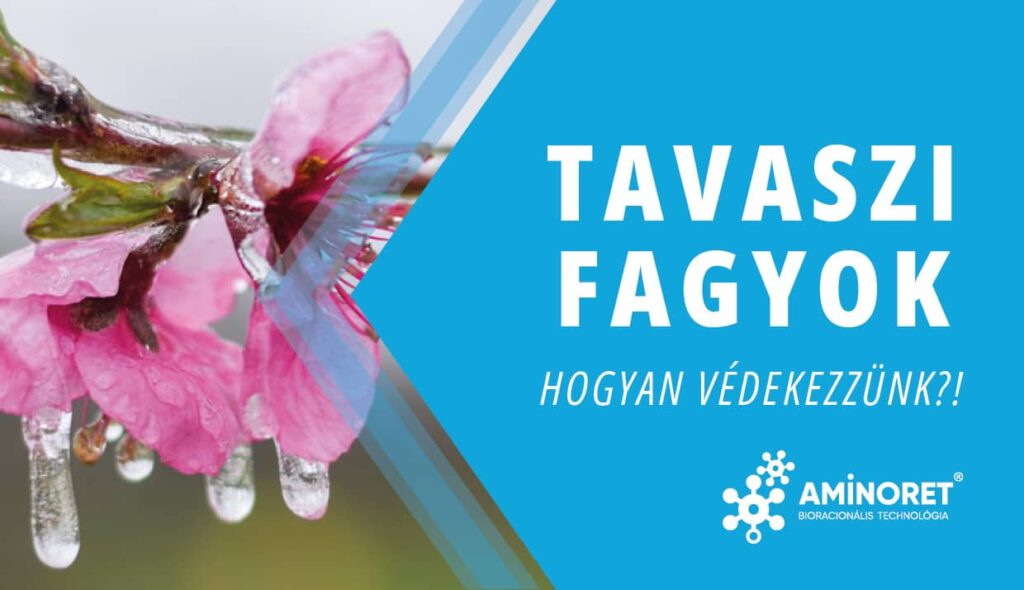 Fagykár elleni védekezés