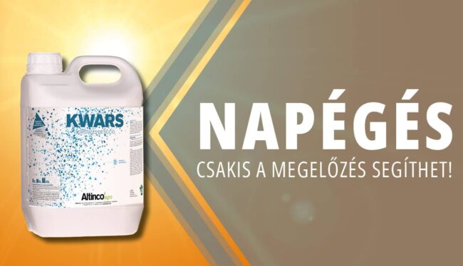Napégés elleni védekezés Kwars biostimulátorral