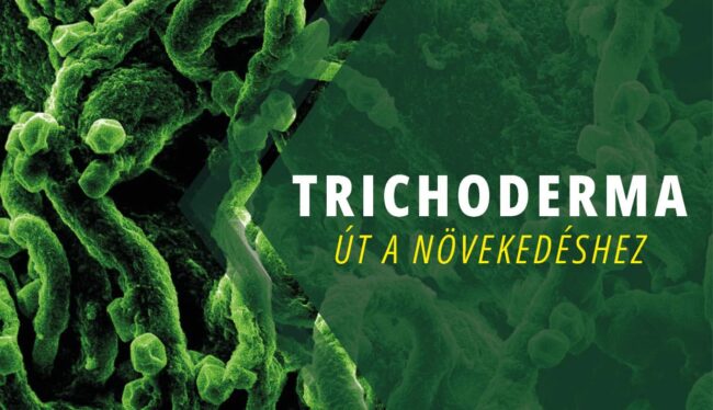 A Trichoderma gombák szerepe
