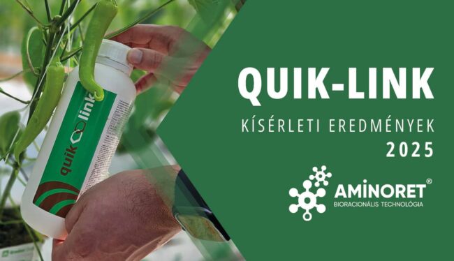 Quik-Link kísérlet TV paprikában